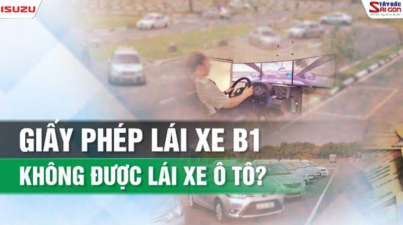 Bằng B1 lái xe gì?