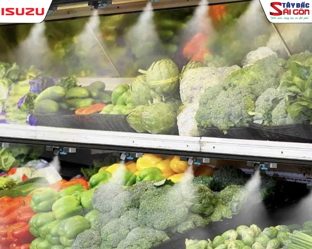Rau củ quả và trái cây tươi sạch cần vận chuyển bằng xe đông lạnh nông sản.